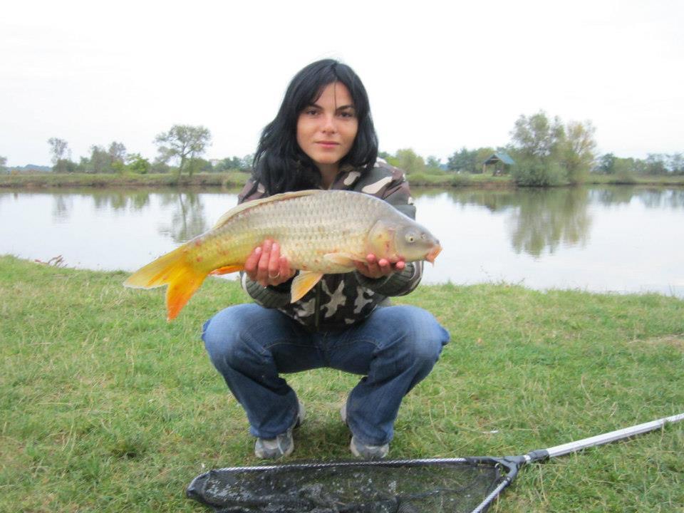 2012-2013 - 2994704377503428461785259008n1.jpg